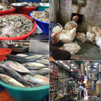 インド 撮影許可